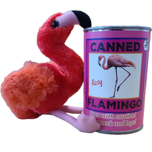 Load image into Gallery viewer, Canned Gifts - Rosy the Canned Flamingo w/Jokes - Eco-Friendly Recycled