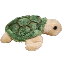 Load image into Gallery viewer, Canned Gifts - Canned Sea Turtle Stuffed Animal Plush w/Jokes | Unique Gift