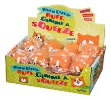 Load image into Gallery viewer, Toysmith - Chubby Corgis Squeeze Toy