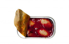 Load image into Gallery viewer, José Gourmet - Jose Gourmet Spiced Calamari in Ragout Sauce, 120g