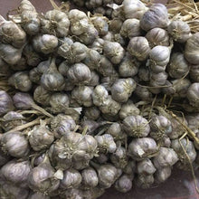 Load image into Gallery viewer, Burlap & Barrel - Purple Stripe Garlic - Single Origin Spice & Seasoning