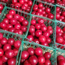 Load image into Gallery viewer, Berries and Flour: Bakery and Harvest Goods - Wild Plum Jam -- 6 oz