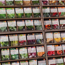 Load image into Gallery viewer, Bentley Seed Co. - 1000 Southern Seed Packet Veg, Herb and Flower Display POS