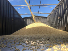 Load image into Gallery viewer, Marsh Hen Mill