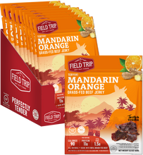 Load image into Gallery viewer, FIELD TRIP - Mandarin Orange Teriyaki Beef Jerky (2.2oz)