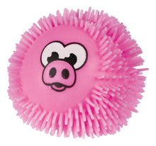 Load image into Gallery viewer, Toysmith - Yay! When Pigs Fly Slingers