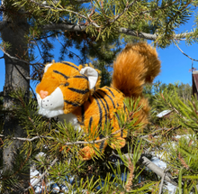 Load image into Gallery viewer, Randimals - Squiger (Plush)