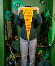 Load image into Gallery viewer, Oxford Pennant - We'll Never Give Up, It's No Use Pennant • blink-182 x Oxford Pennant