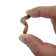 Load image into Gallery viewer, Copernicus Toys - CC: COPROLITE