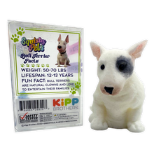 Load image into Gallery viewer, Novelty Brands - So Much Fun! Squishy Pets Keepsake Assortment - 12/Display