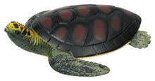 Load image into Gallery viewer, Toysmith - Turtle Squishimals