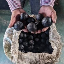 Load image into Gallery viewer, Burlap & Barrel - Ground Black Lime (Persian lime, Omani lime) - Single Origin