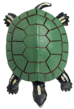 Load image into Gallery viewer, Toysmith - Turtle Squishimals