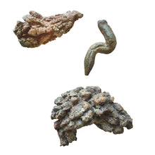Load image into Gallery viewer, Copernicus Toys - CC: COPROLITE