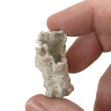 Load image into Gallery viewer, Copernicus Toys - PETRIFIED LIGHTNING