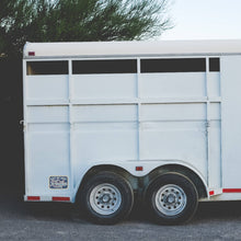 Load image into Gallery viewer, Good Southerner - Ain't My First Rodeo Sticker