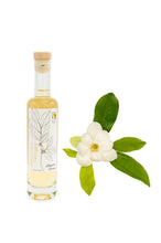 Load image into Gallery viewer, Magnolia Vinegar: 100ml (3.4oz)