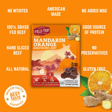 Load image into Gallery viewer, FIELD TRIP - Mandarin Orange Teriyaki Beef Jerky (2.2oz)