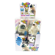Load image into Gallery viewer, Novelty Brands - So Much Fun! Squishy Pets Keepsake Assortment - 12/Display