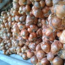 Load image into Gallery viewer, Burlap & Barrel - Purple Shallot Slices - Single Origin Spice & Seasoning