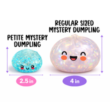 Load image into Gallery viewer, Novelty Brands - Fun Doh Squishy Mystery Mini Petite 2.5" Dumpling Toy