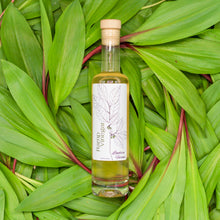 Load image into Gallery viewer, Ramp Vinegar: 100ml (3.4oz)