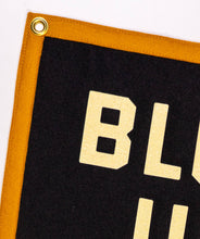 Load image into Gallery viewer, Oxford Pennant - Blow Up Your TV Camp Flag • John Prine x Oxford Pennant