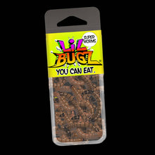 Load image into Gallery viewer, EntoLife Edible Insects - Crickets, Ants & Scorpions! - LIL BUGS YOU CAN EAT FULL DISPLAY