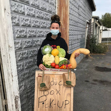 Load image into Gallery viewer, person holding a basket of food