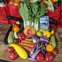 Load image into Gallery viewer, Food Boxes for a Year 2026