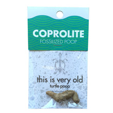 Load image into Gallery viewer, Copernicus Toys - CC: COPROLITE