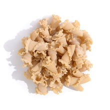 Load image into Gallery viewer, pile of beige pasta in a seashell trumpet shape