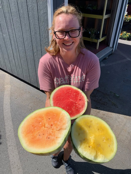 A Rainbow of Sweetness: Exploring Watermelon Varieties