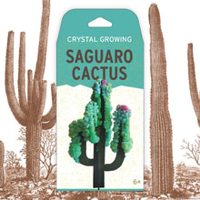 Load image into Gallery viewer, Copernicus Toys - CRYSTAL GROWING SAGUARO CACTUS
