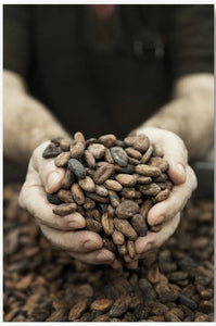 Eat Spain - Blanxart Dark Chocolate Single Origin Guayaquil 95%