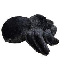 Load image into Gallery viewer, Canned Gifts - Canned Tarantula - Bug Insect Plush Gift in Can w/Jokes
