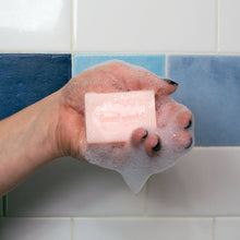 Load image into Gallery viewer, Unemployed Philosophers Guild - Rosie Soap
