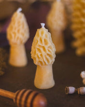 Load image into Gallery viewer, The Ramblin' Bee - Mini Morel
