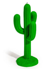 Load image into Gallery viewer, McGowan &amp; Rutherford Ltd - Green Cactus Candle
