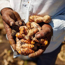 Load image into Gallery viewer, Burlap &amp; Barrel - New Harvest Turmeric - Single Origin Spice &amp; Seasoning
