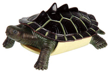 Load image into Gallery viewer, Toysmith - Turtle Squishimals
