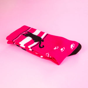 Gumball Poodle - Scratching Black Cat Gym Crew Socks