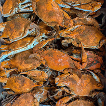 Load image into Gallery viewer, Preorder Steamed Blue Crabs - Pickup Only
