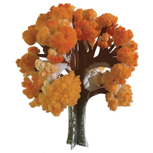 Copernicus Toys - CRYSTAL GROWING MAPLE TREE