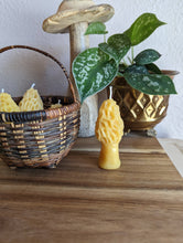 Load image into Gallery viewer, The Ramblin' Bee - Mini Morel
