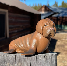 Load image into Gallery viewer, Randimals - Sea Dog (Figurines)
