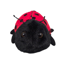 Load image into Gallery viewer, Canned Gifts - Canned Ladybug - Bug Insect Plush Gift in Can w/Jokes
