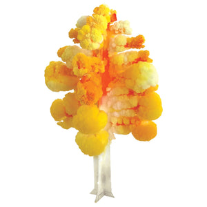 Copernicus Toys - CRYSTAL GROWING ASPEN