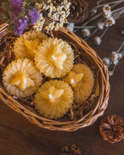 Load image into Gallery viewer, The Ramblin' Bee - Bee and Flower Beeswax Candle
