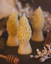 Load image into Gallery viewer, The Ramblin' Bee - Morel Mushroom Beeswax Candle
